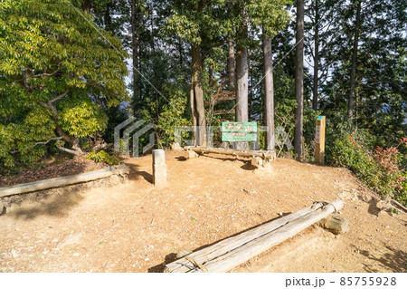 天覚山の山頂(奥武蔵) 天覚山の山頂(奥武蔵) 85755928
