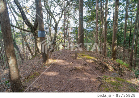 吾野の頭の山頂(奥武蔵) 吾野の頭の山頂(奥武蔵) 85755929