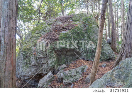 吾野の頭の山頂付近にある大岩(奥武蔵) 吾野の頭の山頂付近にある大岩(奥武蔵) 85755931