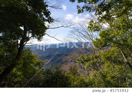 大高山の山頂から見た奥多摩の山々（奥武蔵）の写真素材 [85755932