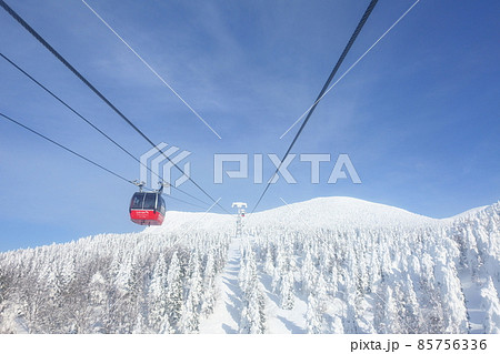 樹氷 霧氷 蔵王 樹氷 霧氷 蔵王 85756336