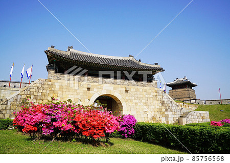 城 花 ツツジ 85756568