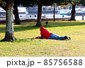 秋の午後、港のそばの芝生公園でのんびりと寝転がりながら読書を楽しむ赤いパーカ姿の男性 85756588