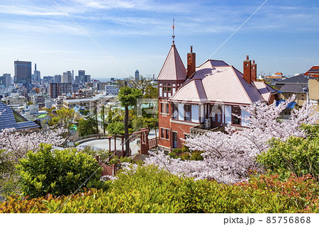 風見鶏の館と満開の桜 神戸市中央区北野異人館街にて 風見鶏の館と満開の桜 神戸市中央区北野異人館街にて 85756868