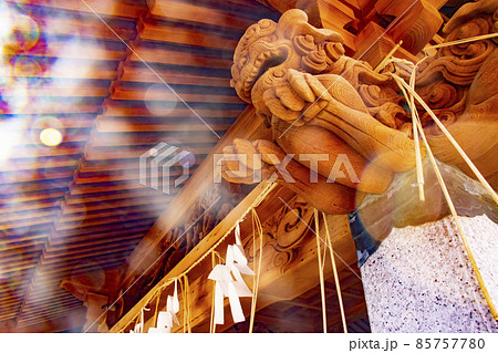 日本の神社の獅子の木像に光の環が躍る 日本の神社の獅子の木像に光の環が躍る 85757780