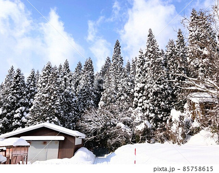 豪雪の日々②　 85758615