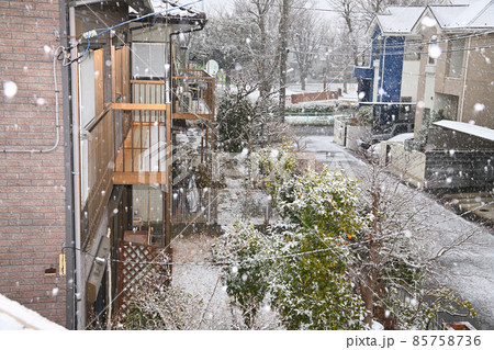 首都圏に降る雪 85758736