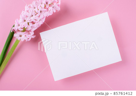 Invitation or greeting card mockup with envelope and hyacinth flowers on dark wooden background Invitation or greeting card mockup with envelope and hyacinth flowers on dark wooden background 85761412