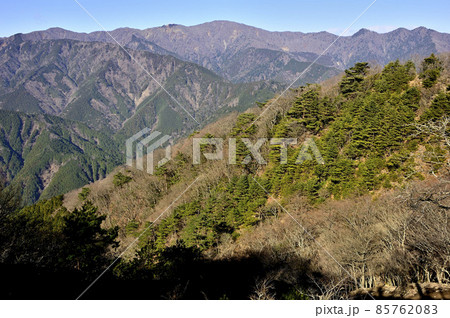 丹沢の大山北尾根 ミズヒノ頭からの丹沢山地の展望 丹沢の大山北尾根 ミズヒノ頭からの丹沢山地の展望 85762083