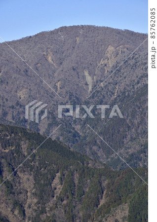 丹沢の大山北尾根 ミズヒノ頭から日本百名山の丹沢山を望む 丹沢の大山北尾根 ミズヒノ頭から日本百名山の丹沢山を望む 85762085