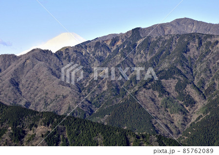 丹沢の大山北尾根 ミズヒノ頭から富士山と塔ノ岳を望む 丹沢の大山北尾根 ミズヒノ頭から富士山と塔ノ岳を望む 85762089