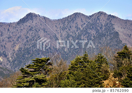 丹沢の大山北尾根 ミズヒノ頭から丹沢三峰を望む 丹沢の大山北尾根 ミズヒノ頭から丹沢三峰を望む 85762090