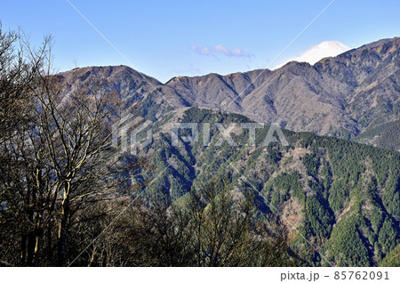 丹沢の大山北尾根 ミズヒノ頭から富士山と表尾根を望む 丹沢の大山北尾根 ミズヒノ頭から富士山と表尾根を望む 85762091