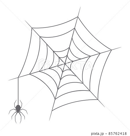 Spider Web Icon, Grey Round Spiderweb With Hanging Spider, Halloween Design Element, Creepy Cobweb Separated on Segments Spider Web Icon, Grey Round Spiderweb With Hanging Spider, Halloween Design Element, Creepy Cobweb Separated on Segments 85762418