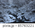岩手県奥州市　冬の滝 85763221