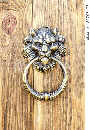 Bronze lion head doorknob close up 85763473