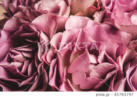 Beautiful bouquet of flowers for a festive background. Natural texture, copy space Beautiful bouquet of flowers for a festive background. Natural texture, copy space 85763797