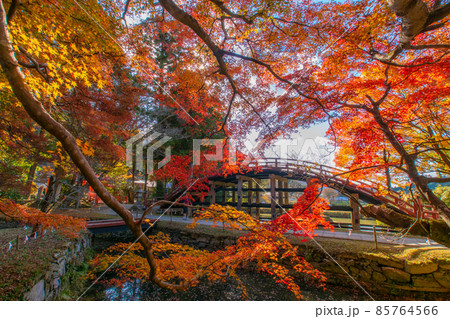 秋色の丹生都比売神社 太鼓橋 和歌山県伊都郡かつらぎ町 秋色の丹生都比売神社 太鼓橋 和歌山県伊都郡かつらぎ町 85764566