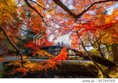 秋色の丹生都比売神社　太鼓橋　和歌山県伊都郡かつらぎ町 85764569