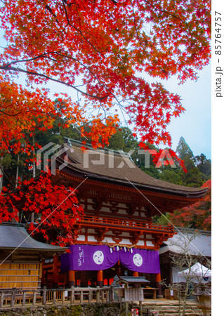 秋の丹生都比売神社の光景 和歌山県伊都郡かつらぎ町 秋の丹生都比売神社の光景 和歌山県伊都郡かつらぎ町 85764757