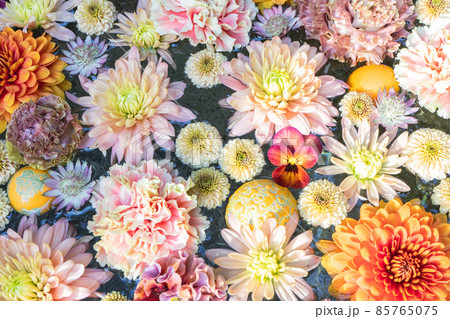 ビタミンカラーのお花達 水彩画