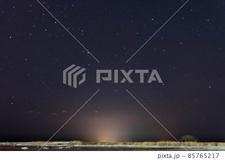 しぶんぎ座流星群と本別海の一本松 85765217