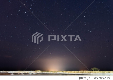 しぶんぎ座流星群と本別海の一本松 85765219