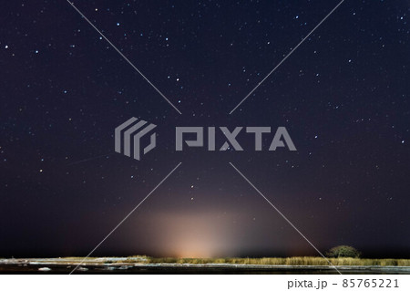 しぶんぎ座流星群と本別海の一本松 85765221