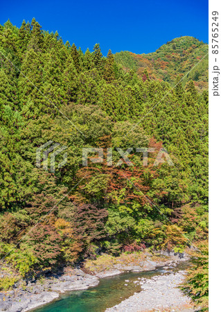 （埼玉県）紅葉期の荒川　道の駅・大滝温泉付近 85765249