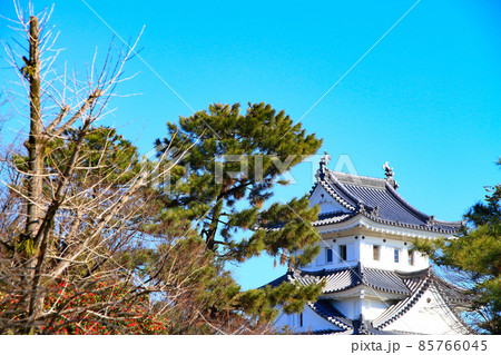 大垣市、大垣城の風景 85766045