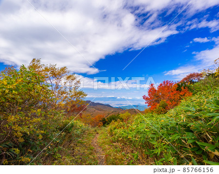 紅葉に囲まれた山道 (山形県、蔵王温泉スキー場、ザンゲ坂) 紅葉に囲まれた山道 (山形県、蔵王温泉スキー場、ザンゲ坂) 85766156