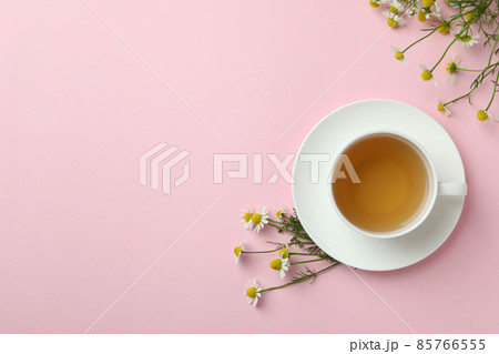 Cup of chamomile tea on pink background Cup of chamomile tea on pink background 85766555