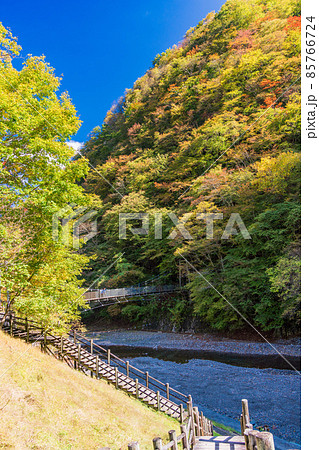 (埼玉県)中津峡の紅葉 (埼玉県)中津峡の紅葉 85766724
