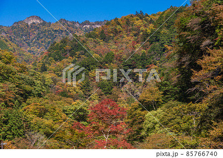 (埼玉県)中津峡の紅葉 (埼玉県)中津峡の紅葉 85766740