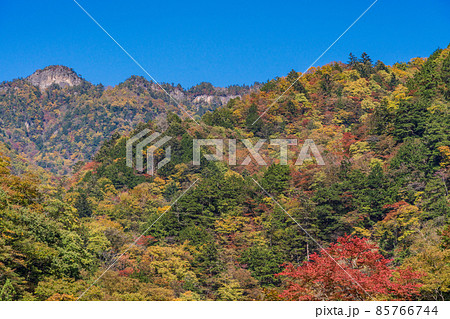 (埼玉県)中津峡の紅葉 (埼玉県)中津峡の紅葉 85766744