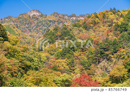 (埼玉県)中津峡の紅葉 (埼玉県)中津峡の紅葉 85766749