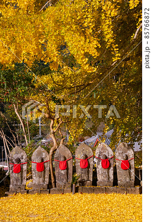 光泉寺の大銀杏　六地蔵　和歌山県東牟婁郡古座川町 85766872