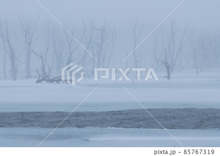 野付半島 吹雪のナナワラ 野付半島 吹雪のナナワラ 85767319