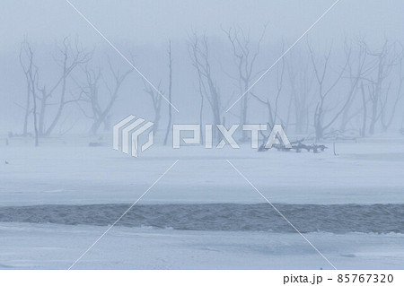 野付半島　吹雪のナナワラ 85767320