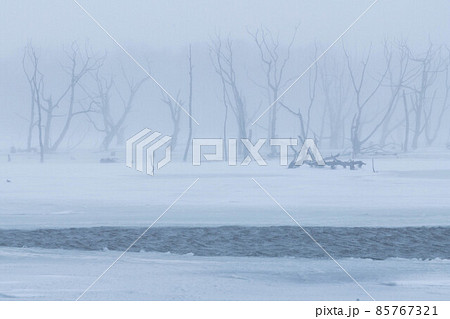 野付半島　吹雪のナナワラ 85767321