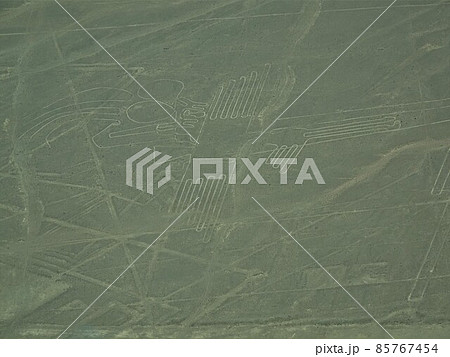 【ペルー】ナスカの地上絵：ペリカン 85767454