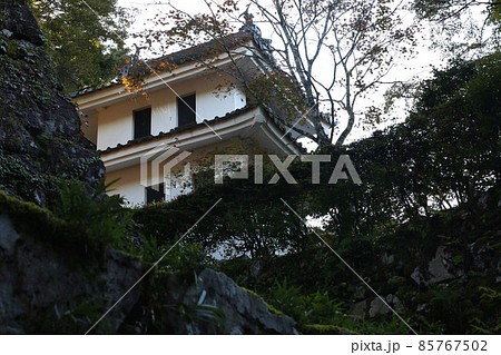 郡上八幡城 郡上八幡城 85767502