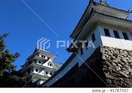 郡上八幡城 郡上八幡城 85767507