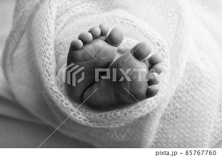 The tiny foot of a newborn. Soft feet of a newborn in a blanket. Close up of toes, heels and feet of a newborn baby. Studio Macro photography. Woman's happiness. Concept. Black and white. The tiny foot of a newborn. Soft feet of a newborn in a blanket. Close up of toes, heels and feet of a newborn baby. Studio Macro photography. Woman's happiness. Concept. Black and white. 85767760