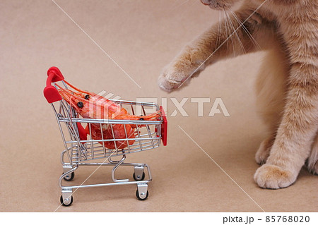 A red cat stretches its paw towards the red boiled shrimps lying in a toy shopping cart. Food and diet for cats. A red cat stretches its paw towards the red boiled shrimps lying in a toy shopping cart. Food and diet for cats. 85768020