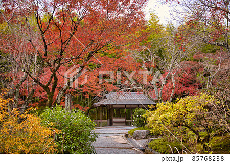 京都・嵐山　天龍寺の秋　2021年秋 85768238