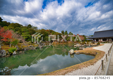 京都・嵐山 天龍寺の秋 2021年秋 京都・嵐山 天龍寺の秋 2021年秋 85768245