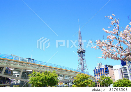 名古屋市、テレビ塔と桜の風景 名古屋市、テレビ塔と桜の風景 85768503
