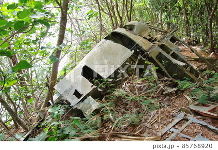小笠原諸島/父島の戦跡・急降下爆撃機ヘルダイバーの残骸 小笠原諸島/父島の戦跡・急降下爆撃機ヘルダイバーの残骸 85768920
