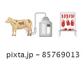 Meat and milk production process vector illustration on white background 85769013